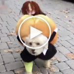 VIDEO: Dog and Friend Carry Pumpkin Through the Yard