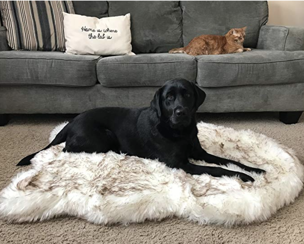 luxury dog bed rug