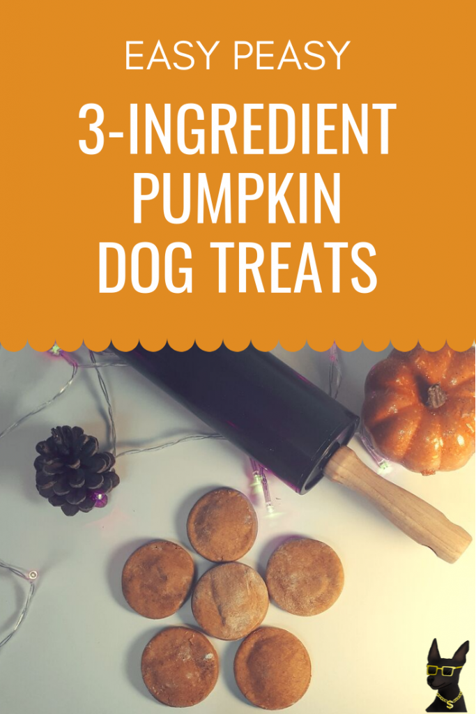 3 Delicious 3-Ingredient Easy Pumpkin Dog Treats for Fall – YoCanine