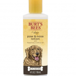 dog paw care