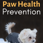 Paw Pad Problems