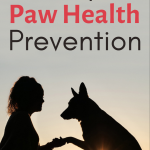 Paw Pad Problems 3