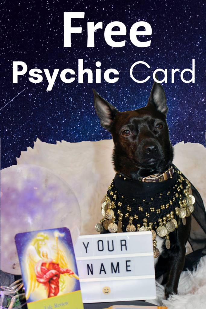psychic dog