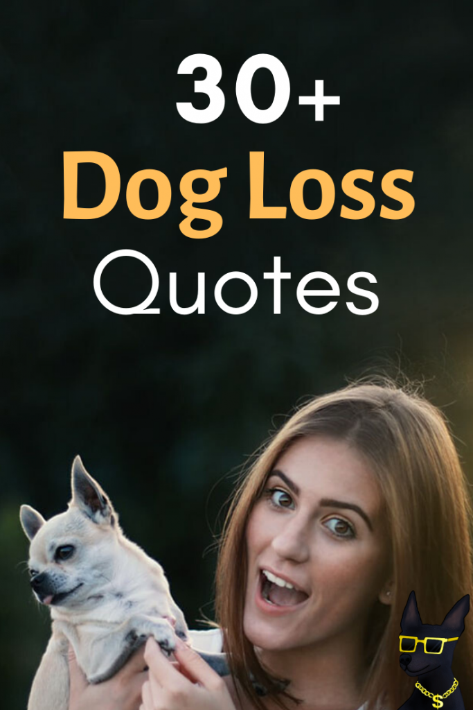 30+ Quotes for Dog Loss to Help You Through a Dog Death and Grief ...