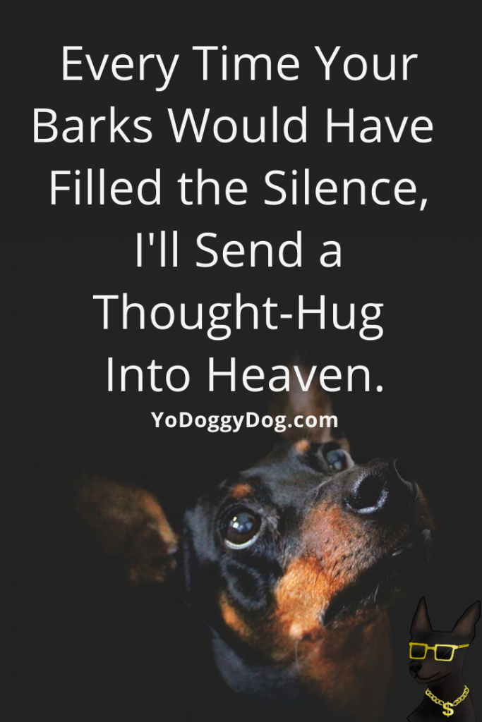 30+ Quotes for Dog Loss to Help You Through a Dog Death and Grief ...