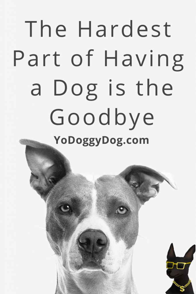 30+ Quotes for Dog Loss to Help You Through a Dog Death and Grief ...