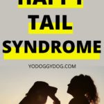 happy tail syndrome 3