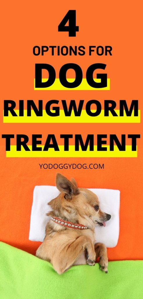 4 Ways to Know If Your Dog Has Ringworm + Treatment Steps | YoCanine