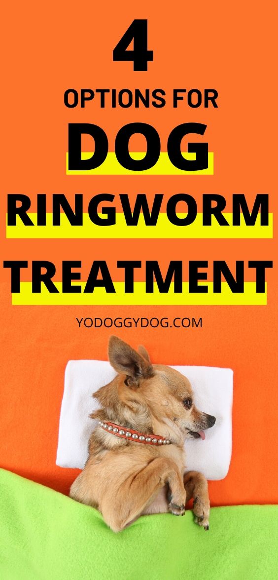 4 Ways to Know If Your Dog Has Ringworm + Treatment Steps – YoCanine