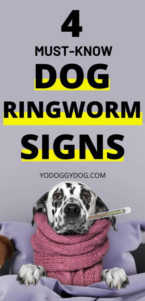 4 Ways to Know If Your Dog Has Ringworm + Treatment Steps | YoCanine