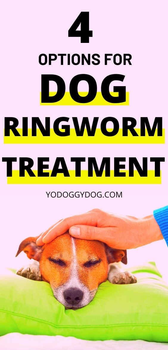 4 Ways to Know If Your Dog Has Ringworm + Treatment Steps – YoCanine