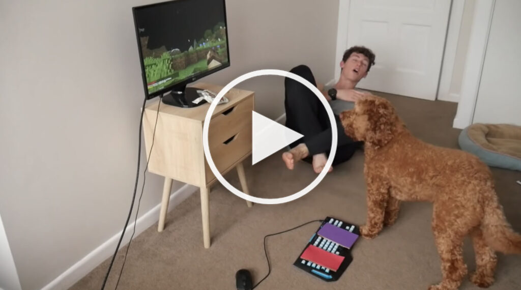 dog playing video game video