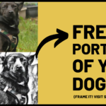 FREE Dog Portrait with YOUR Photo: Frame, HomeScreen, Gift It