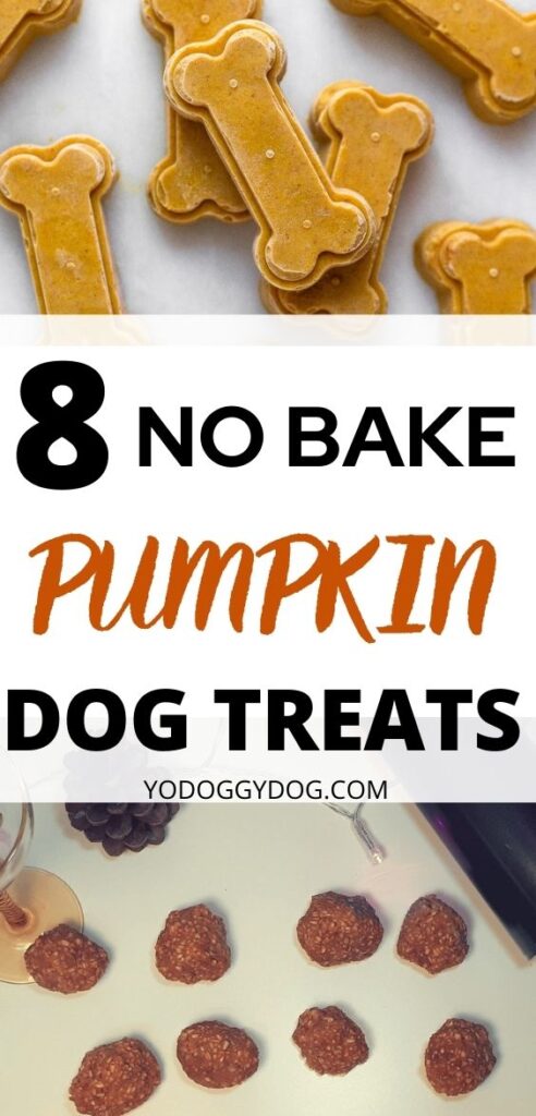 8 No Bake Pumpkin Dog Treats You Can Make in 10 Mins FLAT | YoCanine