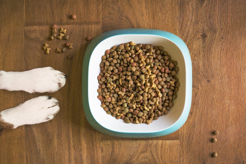 best dry food for dogs