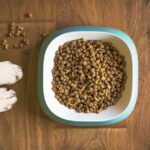 Best Dry Food for Dogs: Pro Tips + 5 Options