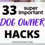 First Time Dog Owner Tips 5