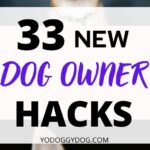 First Time Dog Owner Tips 7