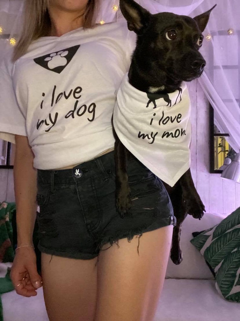 matching dog christmas