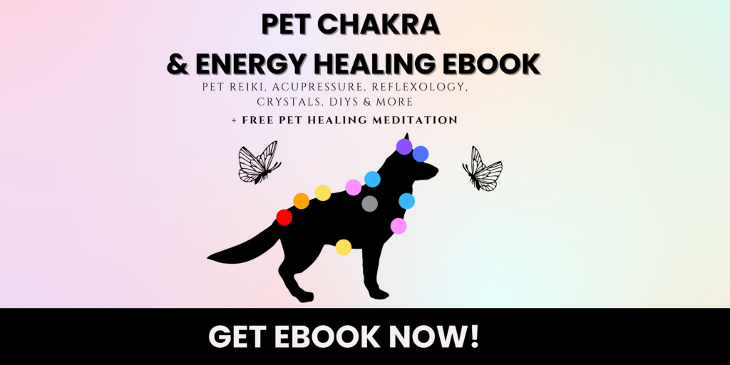 dog chakra pet energy healing
