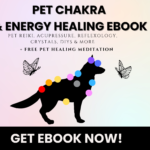 dog chakra pet energy healing