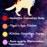 dog chakra crystals