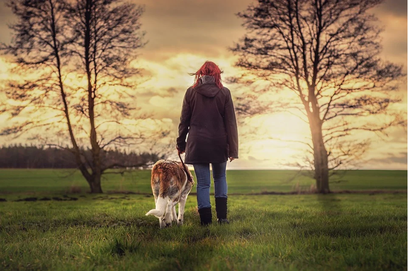 dog walking gear