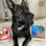 DIY Dog Craft Painting: Dog Activities Indoor: DIY Dog Mom Gift