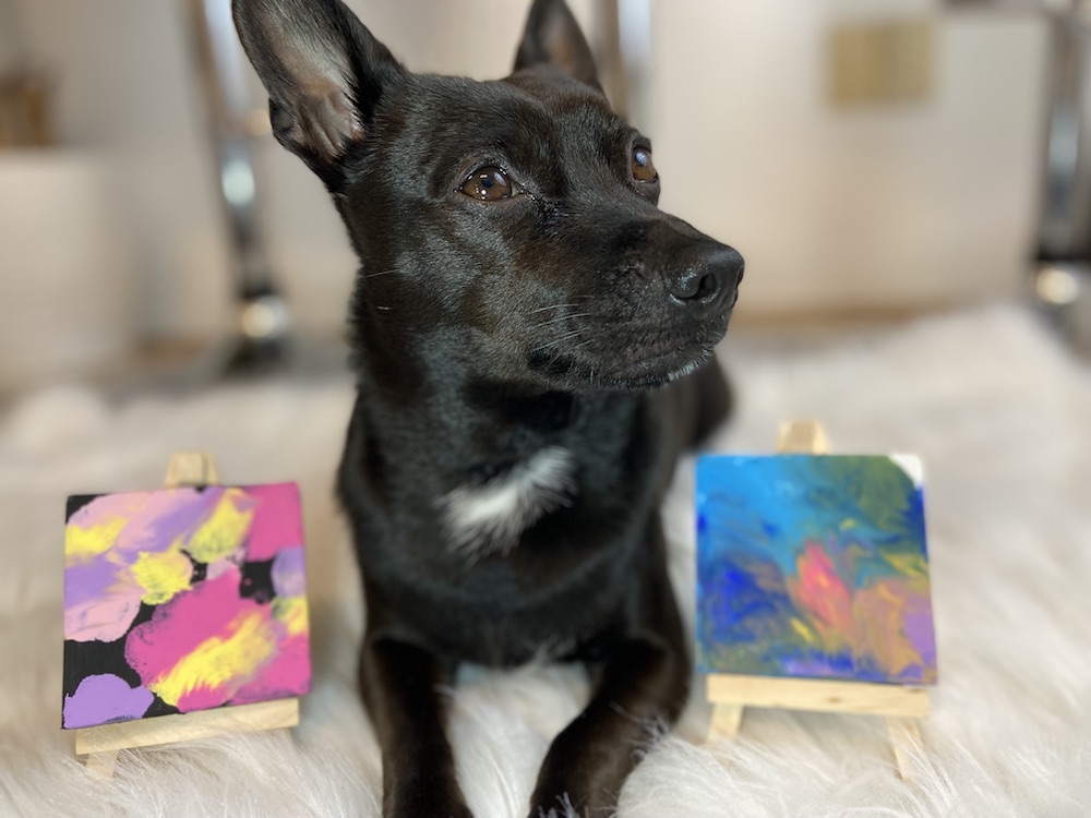 DIY Dog Craft Painting: Dog Activities Indoor: DIY Dog Mom Gift