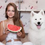 Can Dogs Eat Watermelon? Rinds, White Seeds, Chunks
