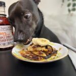 dog treat recipe dog banana pancakes