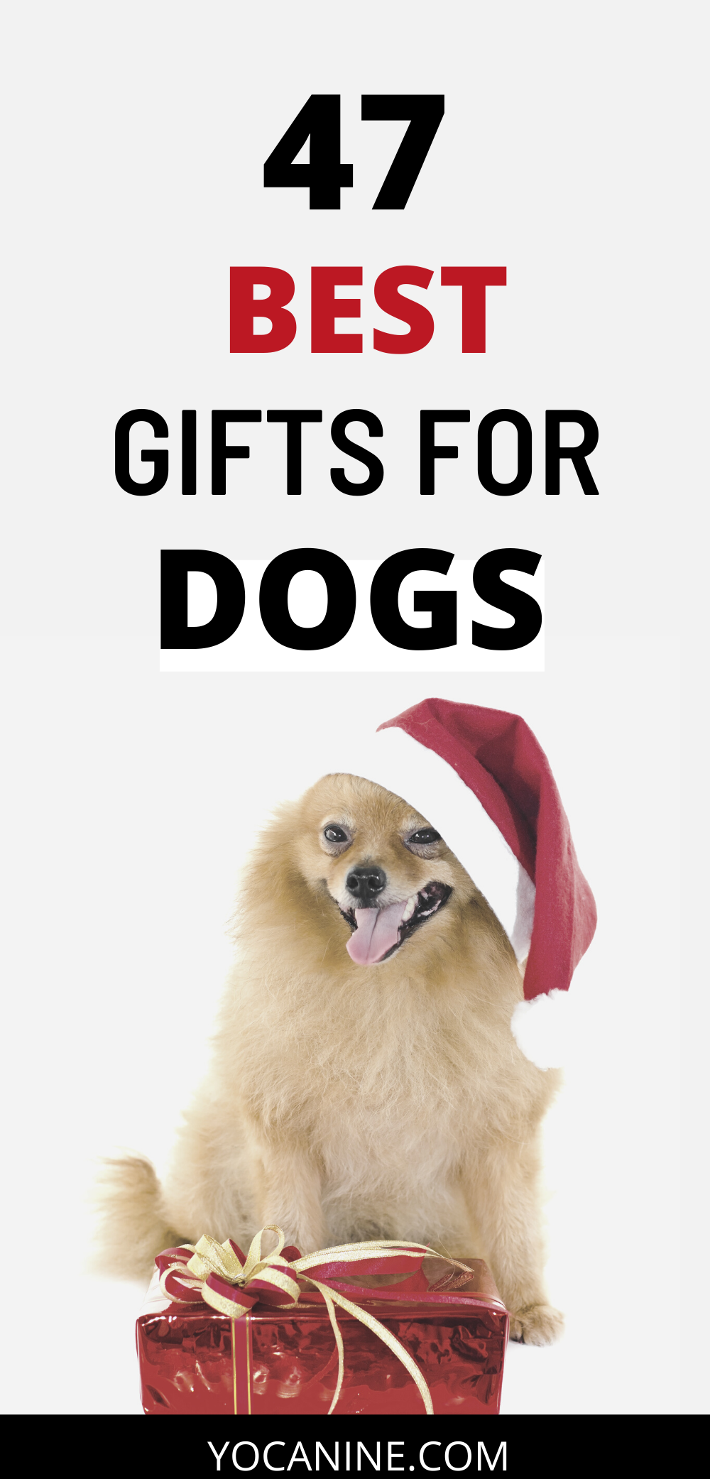 christmas gifts for dog lovers