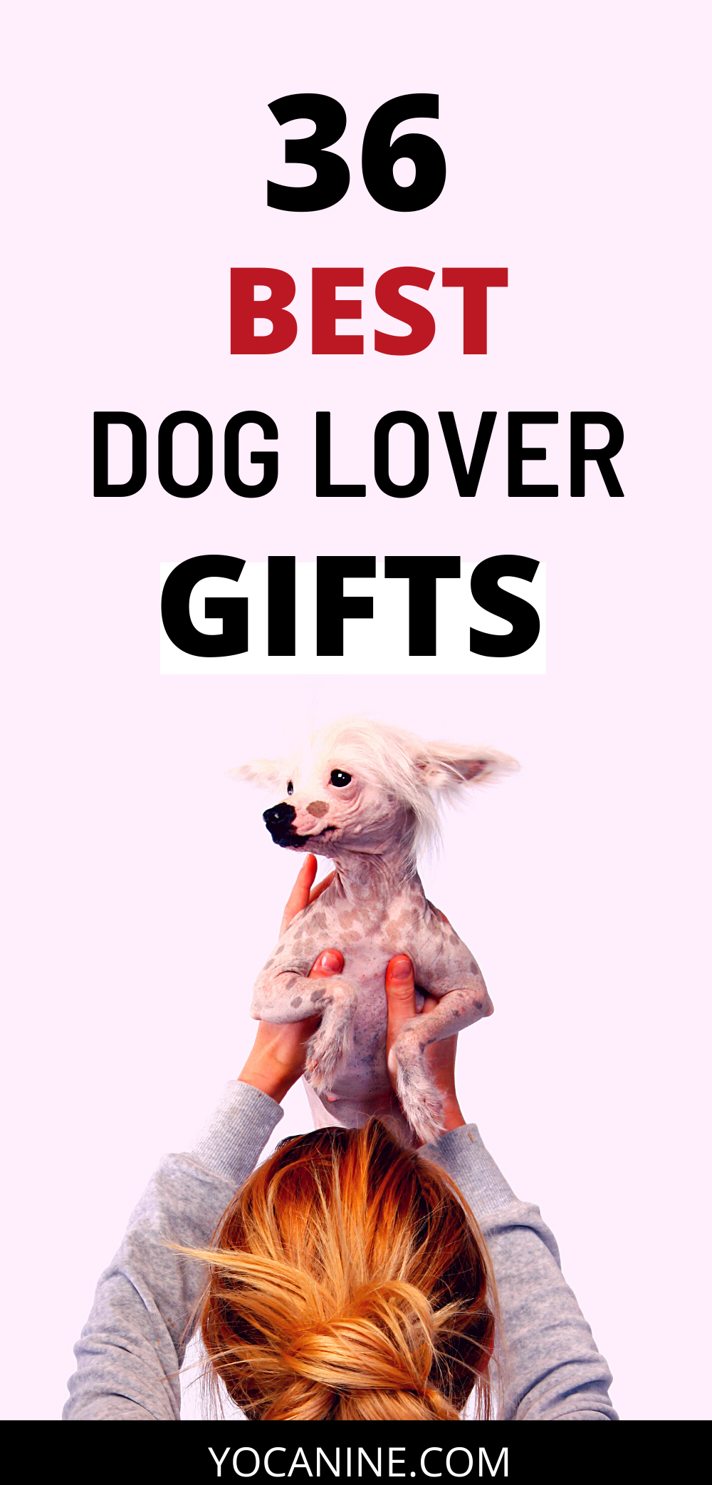 christmas gifts for dog lovers