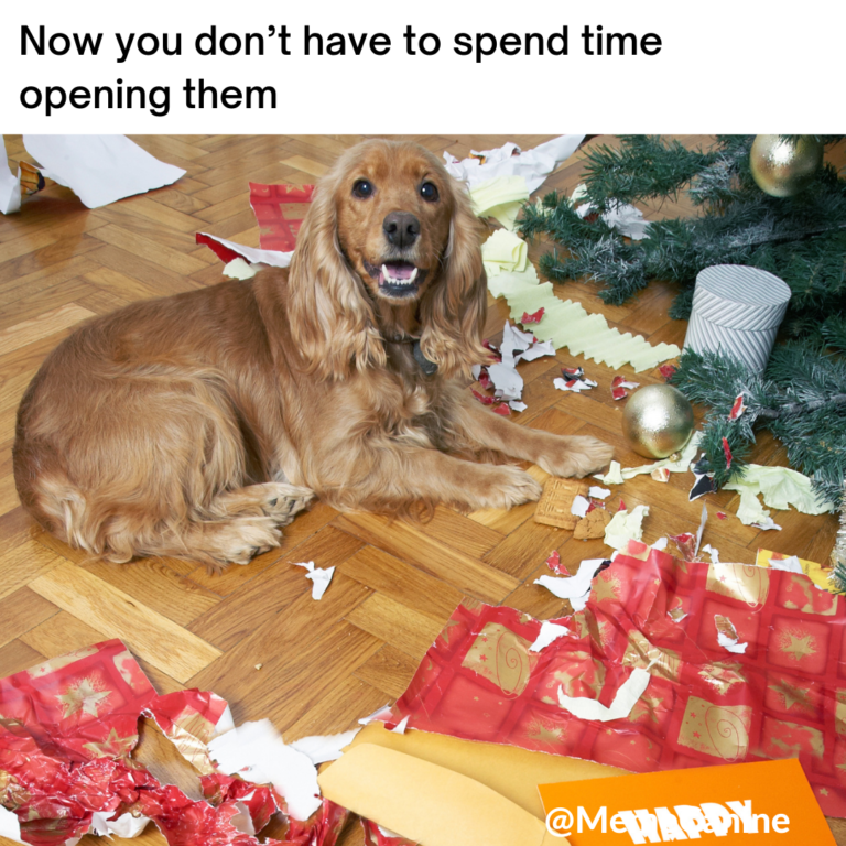 12 Christmas Dog Memes: Dog Mom Humor – YoCanine