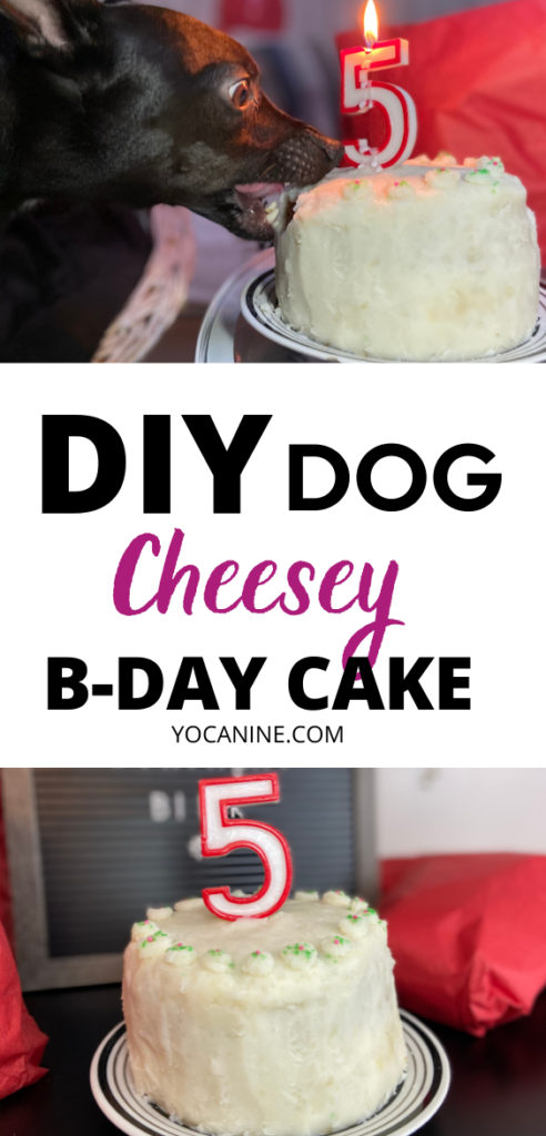 Dog Birthday Cake Recipe, How To Make a Dog Cake