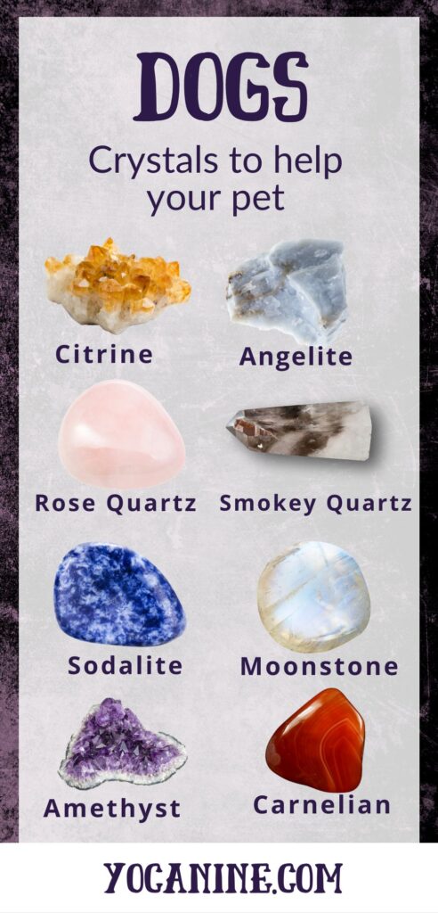 crystals for dogs dog healing