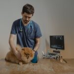 How Hard Is It To Open Your Own Veterinary Clinic?