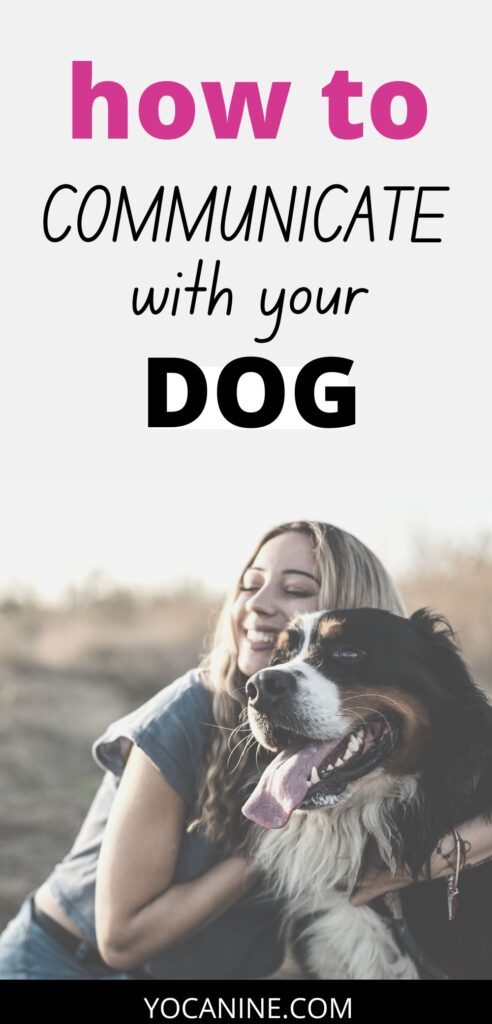 communicate dog, dog body language