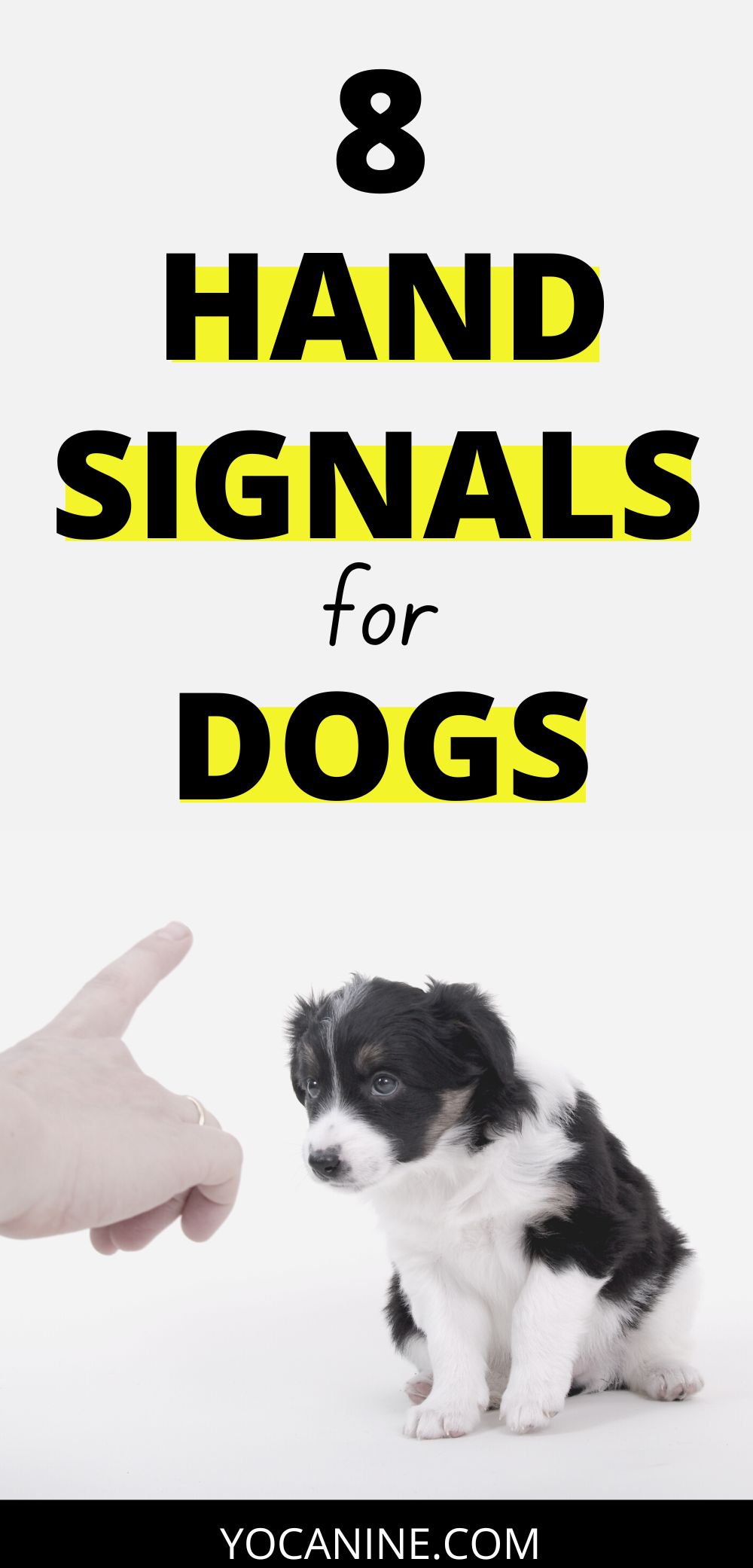 8 Useful Hand Signals for Dogs to Learn ASAP | YoCanine